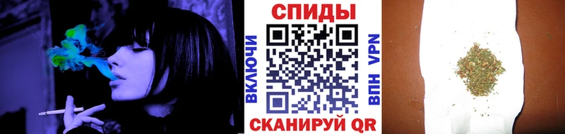 как найти   Заречный  блэк спрут ссылки  БУТИРАТ буратино 