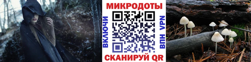 Псилоцибиновые грибы мицелий  Заречный 